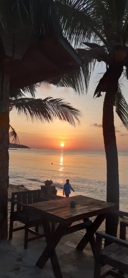 Beer'S House Bungalows เบียร์เฮ้าส์บังกะโล Ban Lamai Eksteriør bilde
