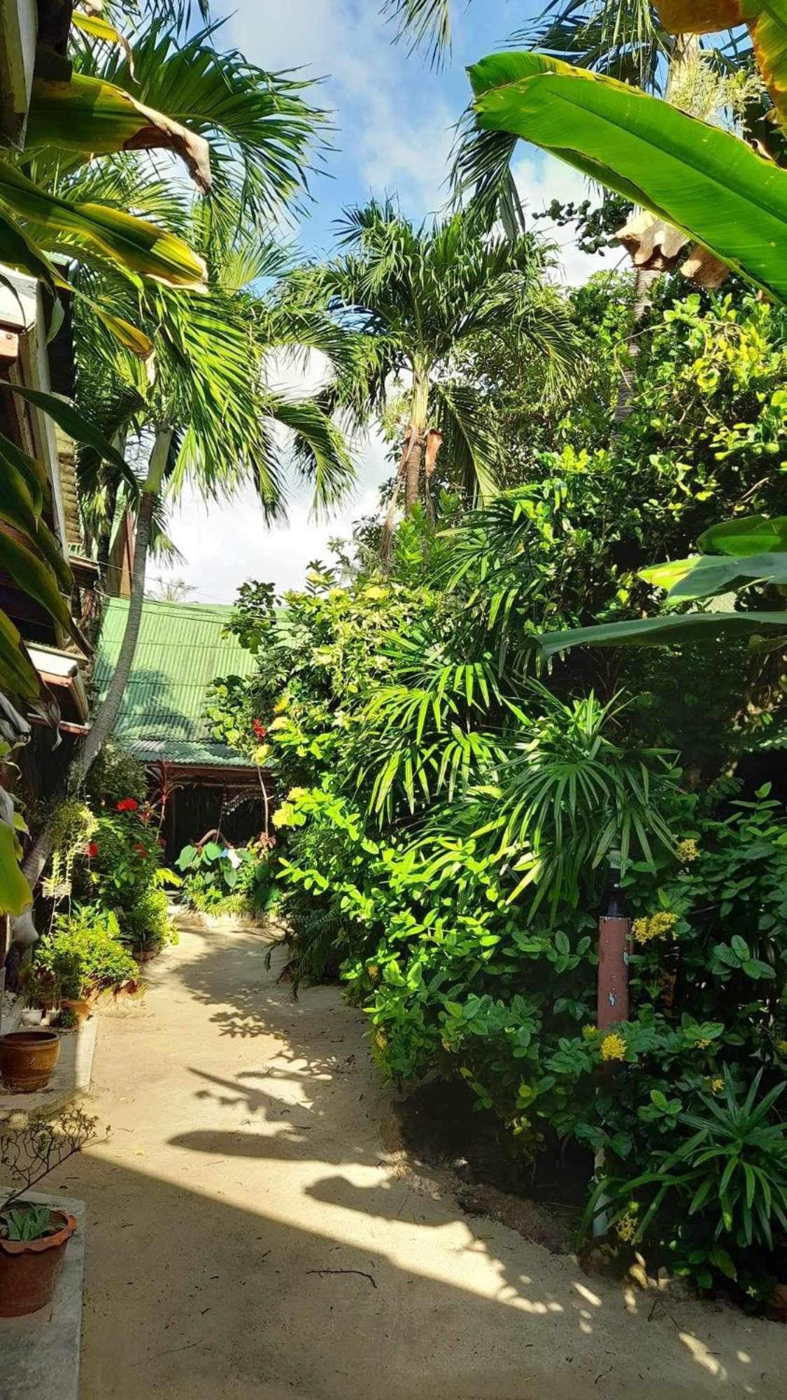 Beer'S House Bungalows เบียร์เฮ้าส์บังกะโล Ban Lamai Eksteriør bilde
