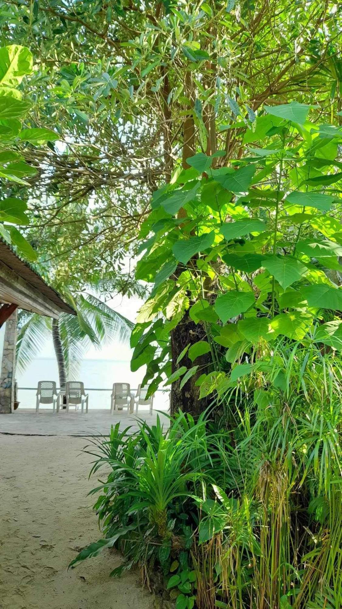 Beer'S House Bungalows เบียร์เฮ้าส์บังกะโล Ban Lamai Eksteriør bilde
