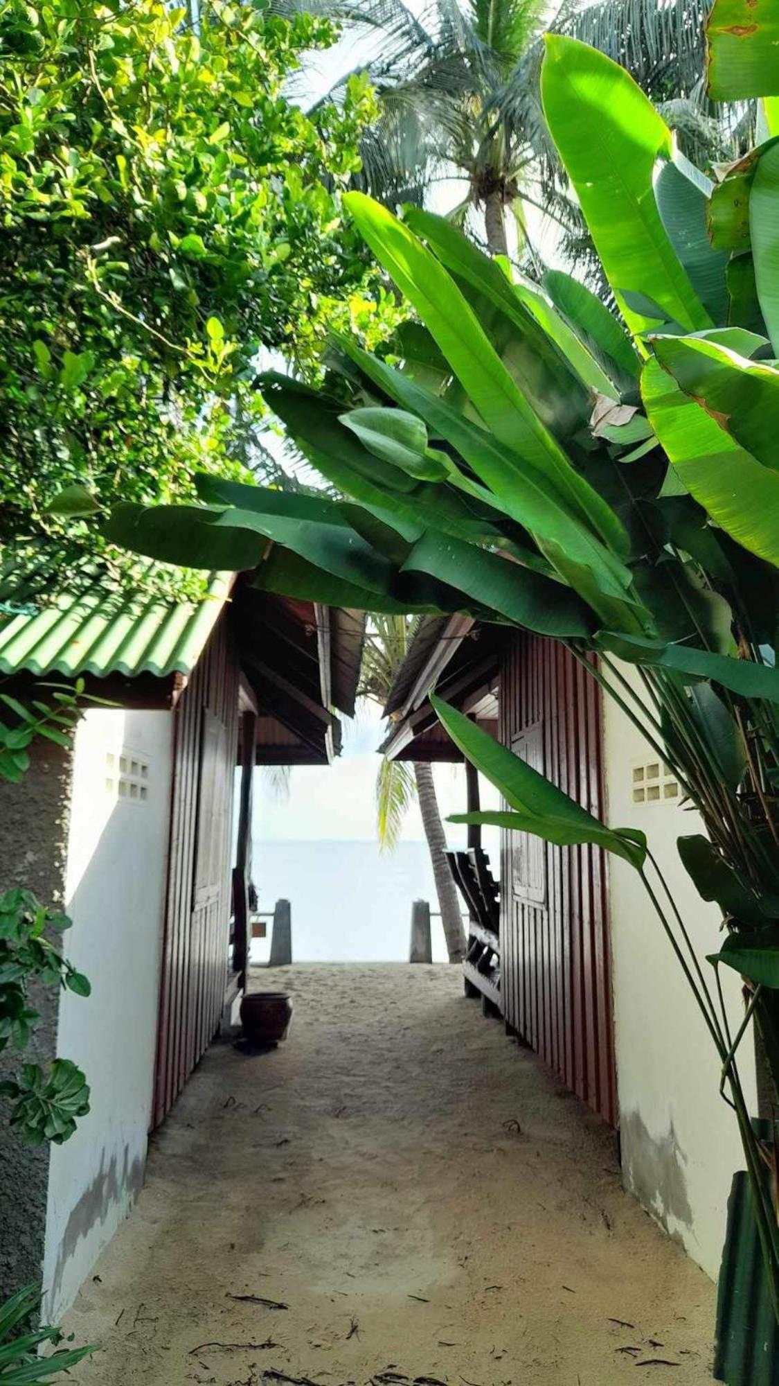 Beer'S House Bungalows เบียร์เฮ้าส์บังกะโล Ban Lamai Eksteriør bilde